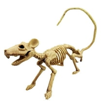 Happydeer Halloween Mouse Skeleton Ornament Creepy Realistic Animal Skeleton Bone for Party Featival Decoration (One Size)