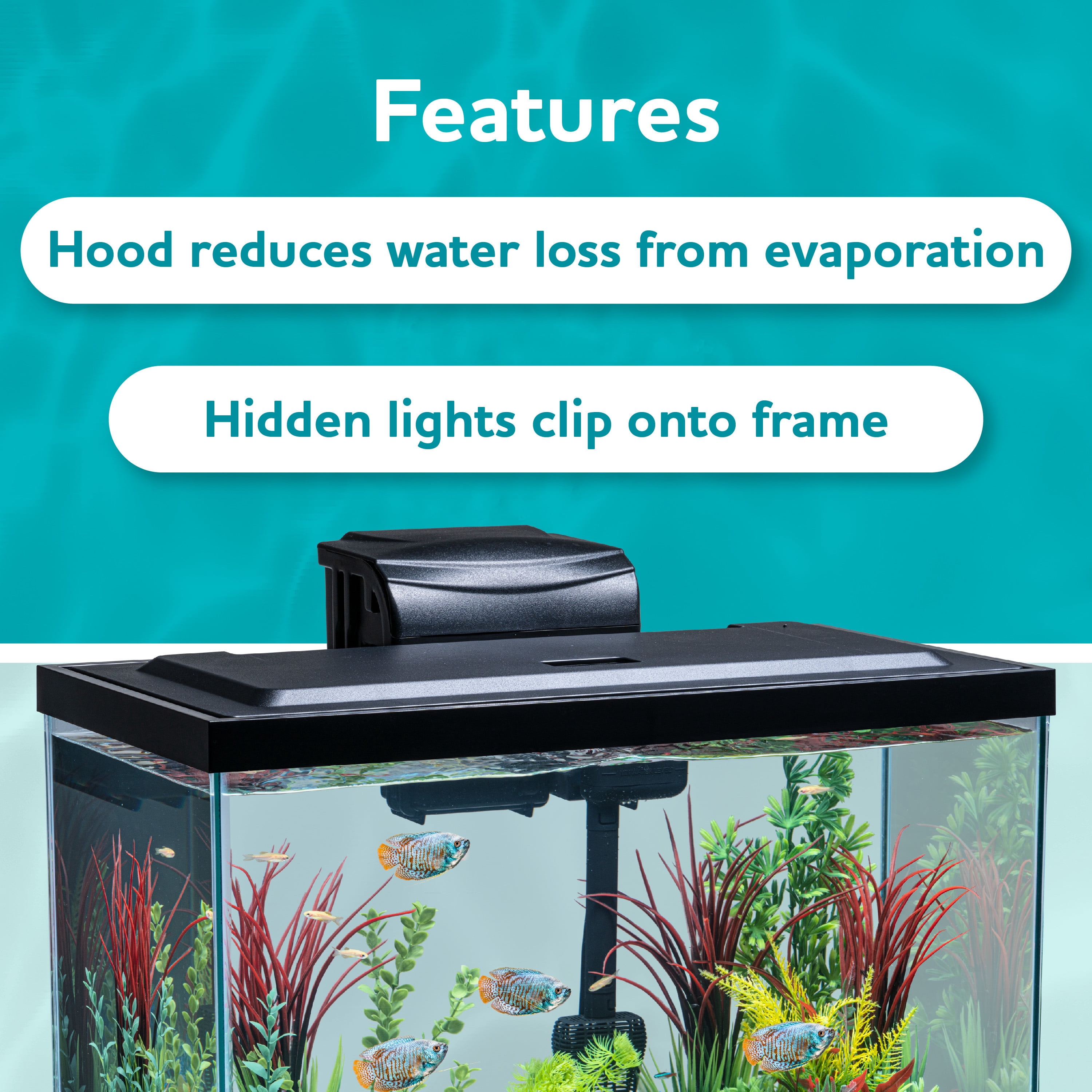 Vibrant Life 20 Gallon Aquarium Starter Kit with Blue & White LED Lights