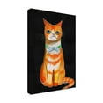 thumbnail image 4 of Trademark Fine Art Sharyn Bursic Sad Cat Canvas Wall Art, 4 of 4