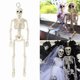 thumbnail image 5 of Skeleton Halloween Decorations 40cm Adjustable Posture Of Human Skeleton Halloween Horror Haunted House Graveyard Ornament, 5 of 5