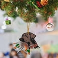 thumbnail image 5 of Hunting Ornament Hunting 2D Flat Acrylic Christmas Ornament Mallard Ornaments for Christmas Tree Hunting Decor for Lovers/ Hunting Dog Biting Duck Mallard Animal Pendant, 5 of 7