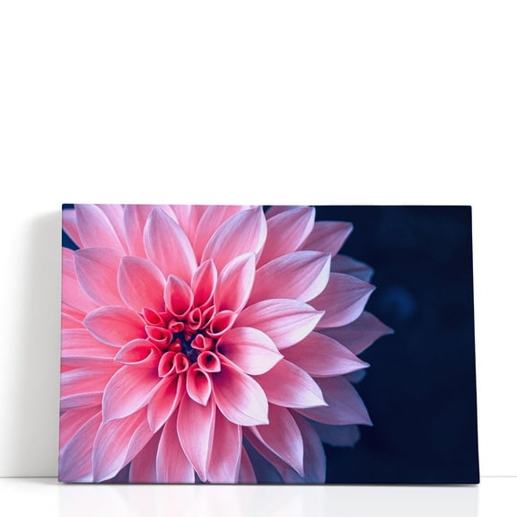Vibrant Pink Dahlia On Dark Background - Wrapped Canvas Print Wall Art | 18" W x 12" H