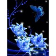 thumbnail image 1 of Taladro Diamante Pintura (DF3796) 5D DIY Completo Mariposa Bordado Mosaico Kits (w1625) 50x70cm Hugtrwg Para estrenar, 1 of 1