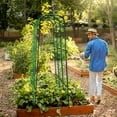 thumbnail image 3 of Slsy Tall Garden Arch Trellis Cucumber Trellis for Climbing Plants, 71" H x 71" L x 20" W Tall Metal Plant Support Trellis for Climbing Vine Vegetable/Fruit/Flower Outdoor Yard Lawn Garden, 3 of 9