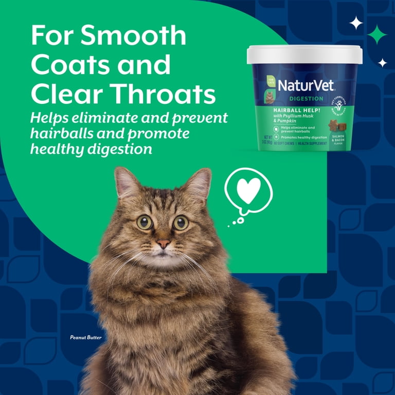 NaturVet Hairball Help! Digestion Supplement for Cats, Salmon and