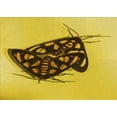 thumbnail image 1 of Ahgly Company Machine Washable Indoor Rectangle Transitional Golden Yellow Area Rugs, 7' x 10', 1 of 1