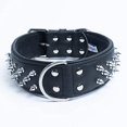 thumbnail image 1 of Spiked Studded Leather Dog Collar, Wide, Padded, Double-Ply, 26" x 2", Black. Stainless Steel (Amsterdam) Rottweiler, Cane Corso. Necks: 20" - 24", 1 of 5