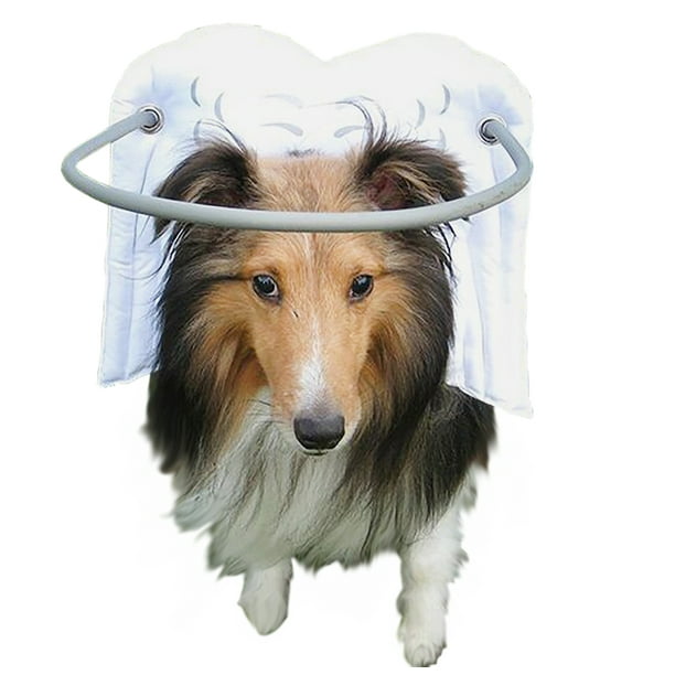 Muffin?s Halo Blind Dog Harness Guide Device ? Help for Blind Dogs or