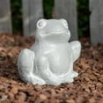 thumbnail image 5 of Better Homes & Gardens Frog Statue, 5 of 5