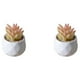 thumbnail image 3 of Simulación suculenta Advancent artificial Bonsai Flor falsa para sala de estar, 3 of 6