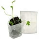 thumbnail image 4 of 1200Pcs Bolsas de Vivero Biodegradables No Tejidas Bolsas de Cultivo de Plantas Macetas de PláNtulas de Tela Bolsas de Cultivo de Crianza de EnfermeríA 8X10Cm, 4 of 8