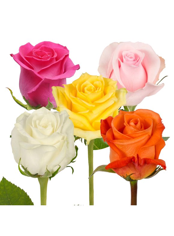 Fresh Flowers in All Flowers