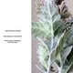 thumbnail image 3 of 5 uds flores de cardo artificiales espray falso Eryngium ramo de acebo de mar de imitación plantas de tacto Real, 3 of 7