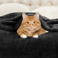 thumbnail image 6 of BNM Solid Fleece Soft Plush Blanket, Throw XL, Black, 6 of 7