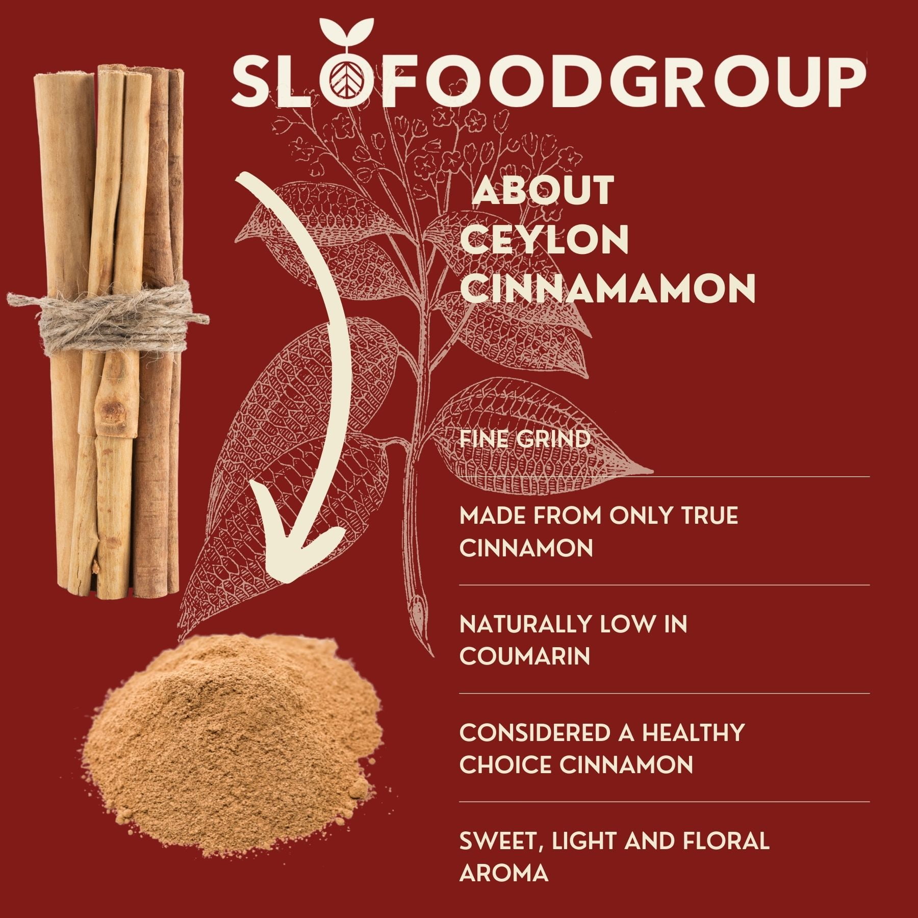 Ceylon Cinnamon Powder - Ground Cinnamon from Sri Lanka - 1lb