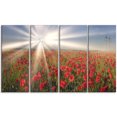 thumbnail image 2 of Blooming Wild Poppies under Sun - Floral Canvas Art Print, 2 of 3