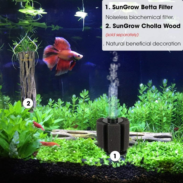 Betta hot sale fry tank
