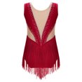 thumbnail image 5 of vastwit Kid Girls Ballet Latin Dance Leotard Figure Skating Performance Costume Gymnastic Bodysuit Burgundy 10, 5 of 7