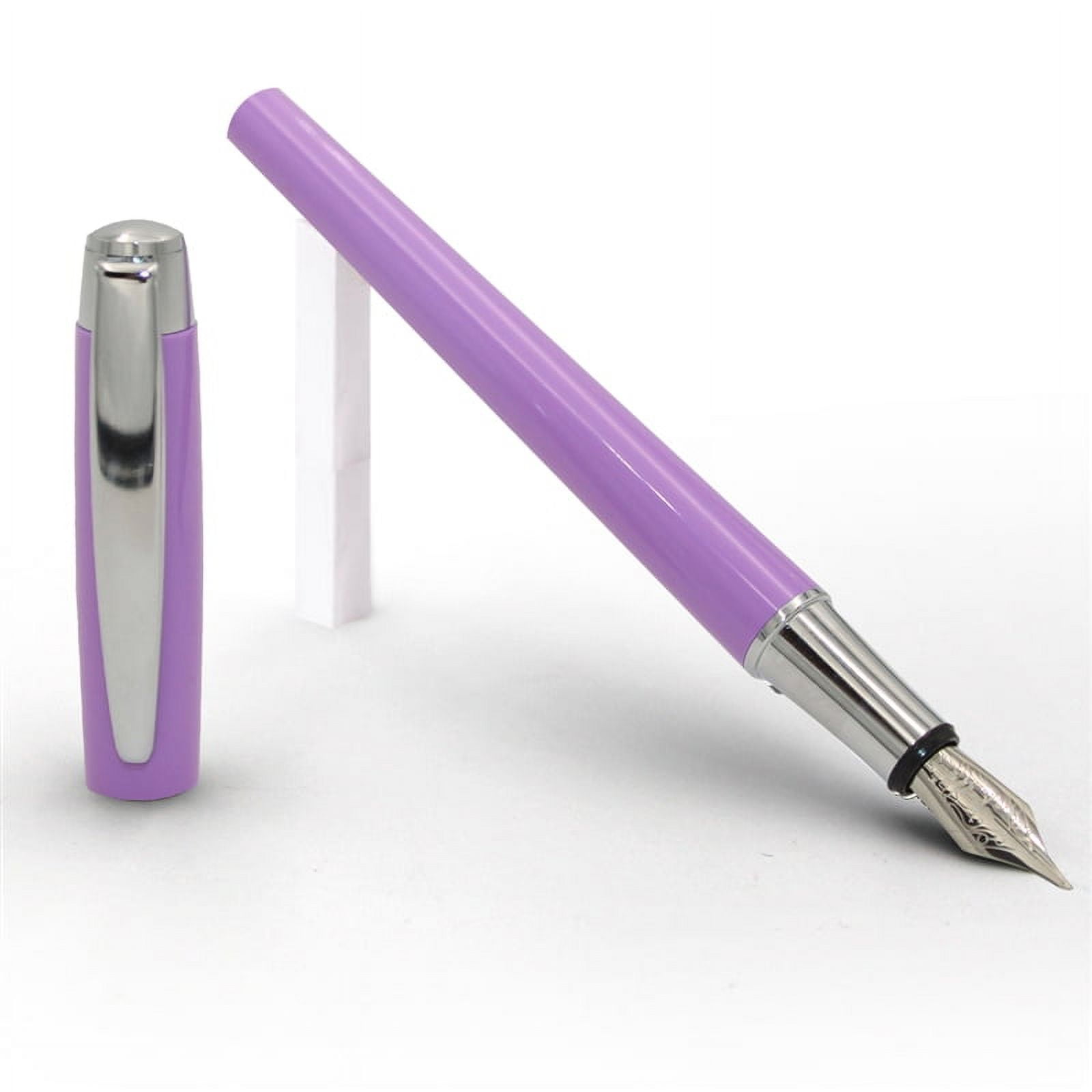 Schmidt Intrinsic Fountain Pen - Purple