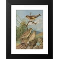 thumbnail image 2 of Johann Friedrich Naumann 14x18 Black Modern Framed Museum Art Print Titled - Chloris Chinese, Sparrow Petronius, 2 of 5