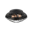 thumbnail image 4 of Millennium Lighting - 2 Light Outdoor Flush Mount-5.88 Inches Tall and 12.38, 4 of 4