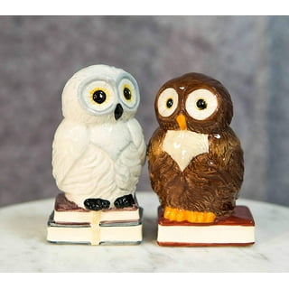 ExclusiveLane 'Desert Owl-Jar Pack' Handglazed Ceramic Salt & Pepper Shakers  Set with Terracotta Toothpick Holder & Wooden Tray - Salt Pepper Set for  Dining Table Fancy Salt Containers for Kitchen