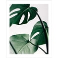 thumbnail image 3 of 3PCS Wall Painting Set Leaves Hanging Wall Pictures Home Wall Decorations, 3 of 9