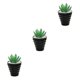 thumbnail image 3 of Bonsái artificial Toystoory con macetas PVC suculentas Tipo 1, 3 of 6