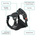 thumbnail image 3 of Large Dog Harness Breathable Adjustable Matching Reflective Leash Vest, 3 of 12