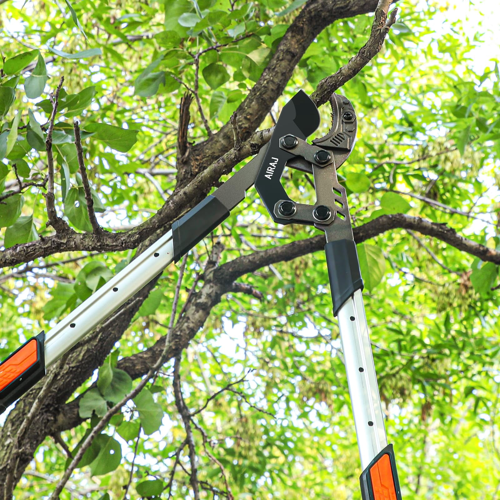 AIRAJ Extendable Tree Trimmer Anvil Loppers - Heavy Duty Branch Cutter with 2 Inch Cutting Capacity, 27-37” Telescopic Pruning Shears, Compound Action Garden Tool for Thick Branches & Dead Wood