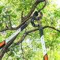 thumbnail image 2 of AIRAJ Extendable Tree Trimmer Anvil Loppers - Heavy Duty Branch Cutter with 2 Inch Cutting Capacity, 27-37” Telescopic Pruning Shears, Compound Action Garden Tool for Thick Branches & Dead Wood, 2 of 7