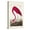 Canvas, variant on Art.com Pl 431 American Flamingo Art Print by John James Audubon, 12" x 18"