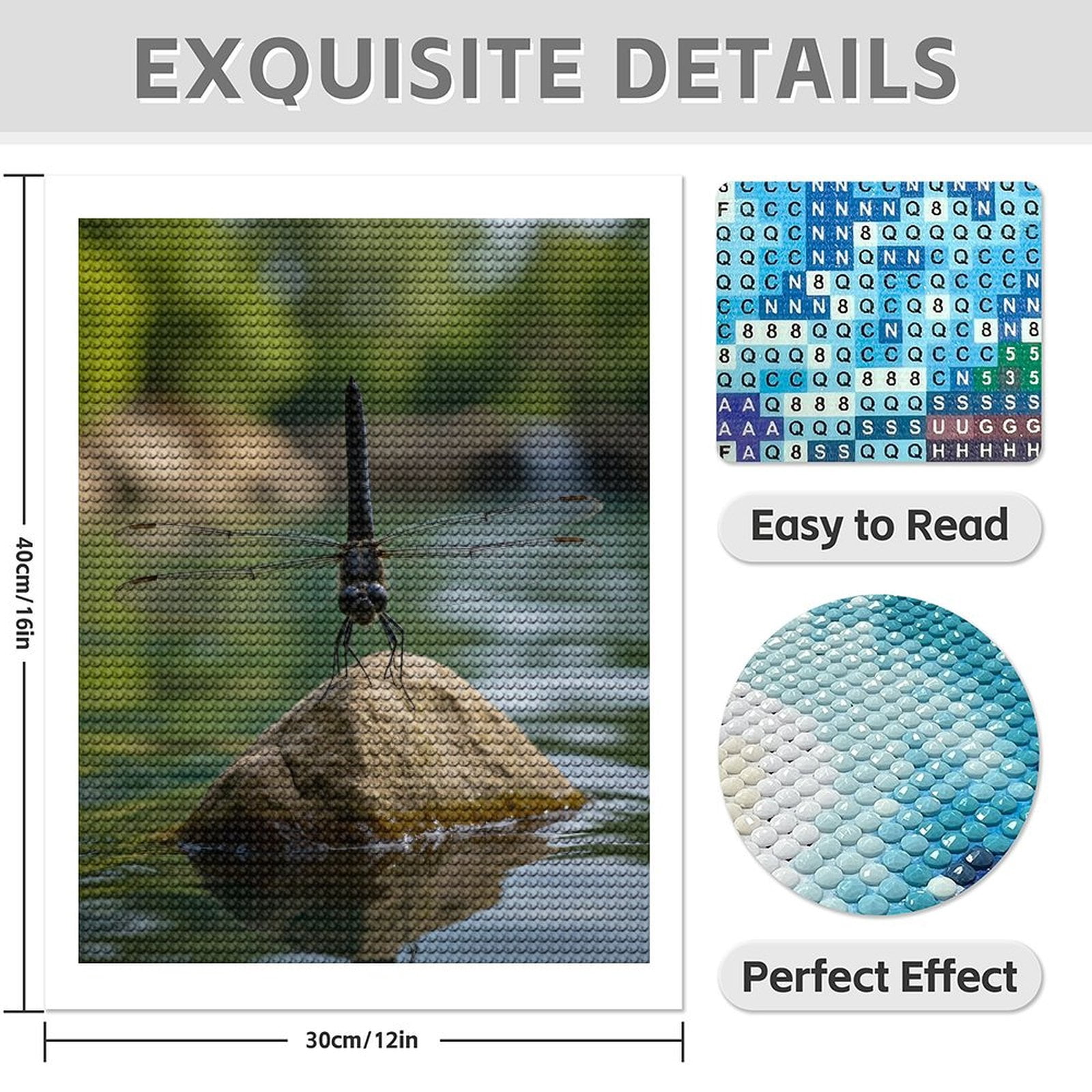 Diamond Art Kit for Adults, Dragonfly Perched On Rock Lake Diamond Painting for Adults Beginners, DIY Diamond Art Painting Kits, 5D Diamond Painting Crafts for Home Decor 12x16 Frameless