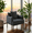 Gray, variant on BSHTI 50.79" Loveseat Couch with Solid Wood & Iron Frame, Removable Back Cushions, Tapered Wood Legs, 6 Colors,Green