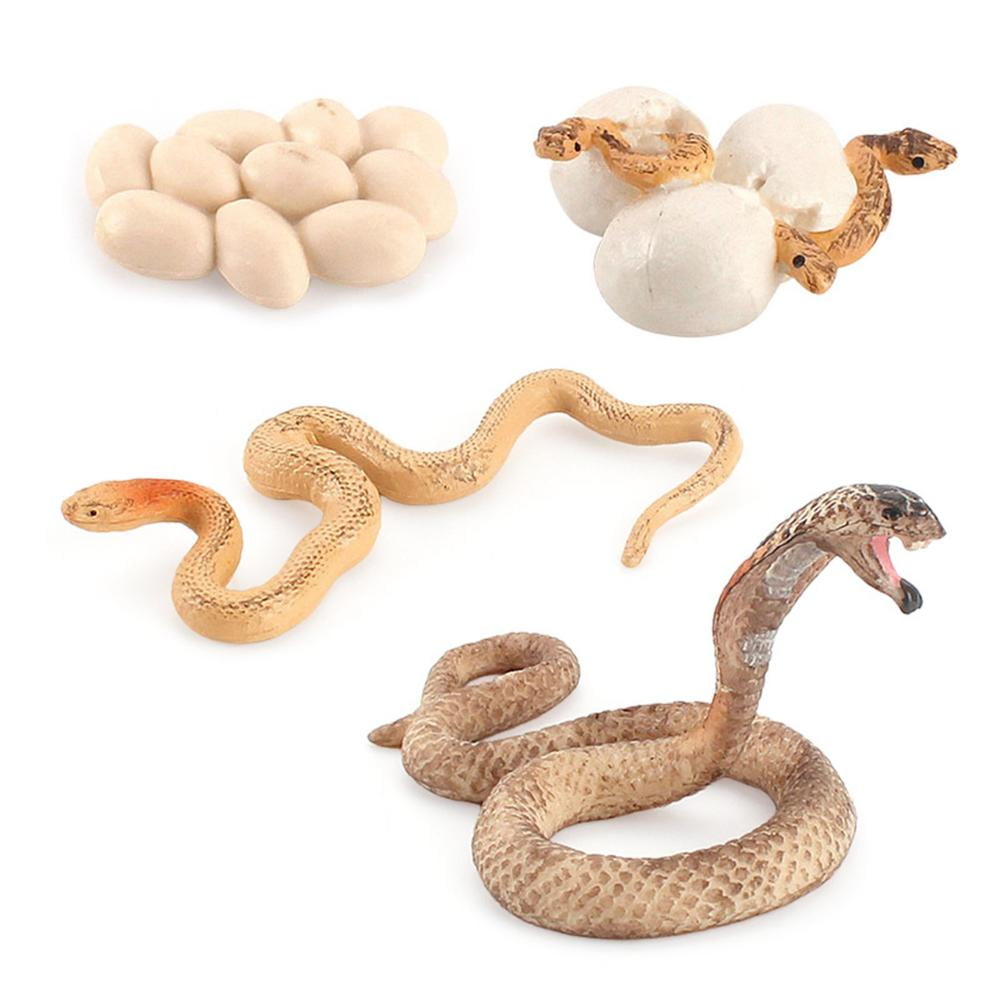 snake hatching