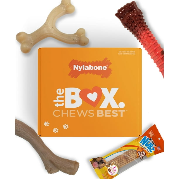 Caja de regalo Nylabone para perros grandes con 3 juguetes para masticar y golosinas