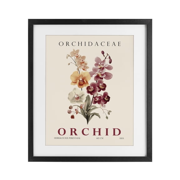 Stupell Industries Minimalist Natural Orchid Bundle Black Framed Print Under Glass, 13 x 16, by Christopher Giampietro