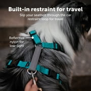 PetSafe 3 in 1 Harness, Fully Adjustable No-Pull Dog Harness and Car Restraint, Medium, Black