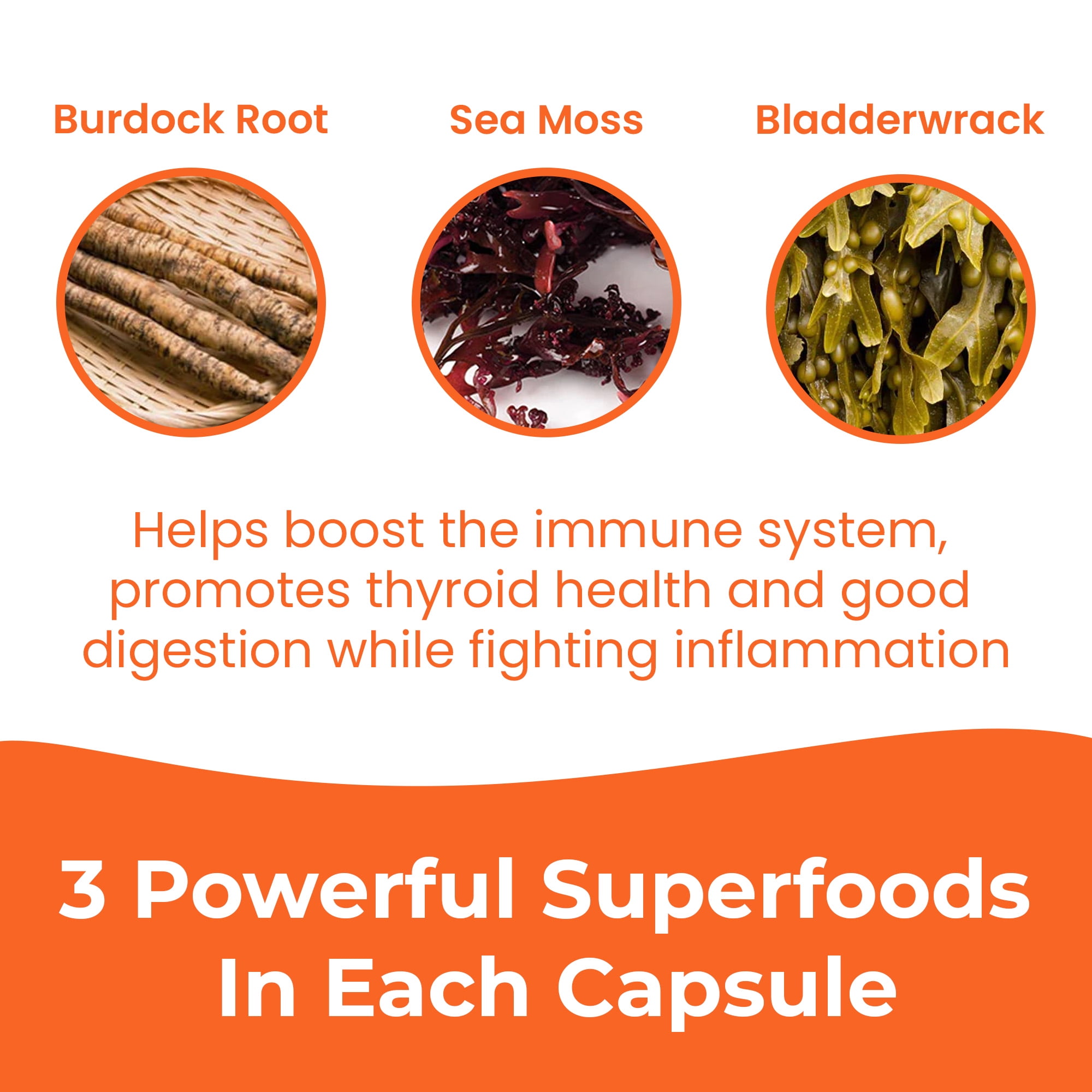 Infinite Age 1250mg Sea Moss Advanced Superfood Capsules, 60 Count - High-Potency, Vegan, Made in The USA - Irish Seamoss, Bladderwrack, Burdock Root - Overall Health, Immunity Support