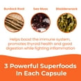 thumbnail image 6 of Infinite Age 1250mg Sea Moss Advanced Superfood Capsules, 60 Count - High-Potency, Vegan, Made in The USA - Irish Seamoss, Bladderwrack, Burdock Root - Overall Health, Immunity Support, 6 of 6