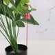 thumbnail image 3 of Estacas metálicas para jardín con adornos de flores artificiales | Pila decorativa para exteriores, patios y parterres | Estacas metálicas resistentes a la intemperie y fáciles de instalar para la, 3 of 3