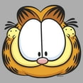 thumbnail image 2 of Boy's Garfield Character Big Face  Graphic T-Shirt, 2 of 5