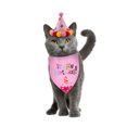 thumbnail image 3 of unbranded 1Jgo Sombrero Y Collar Rosa Para Mascotas De Fiesta Cómodo Y Para Uso, 3 of 8