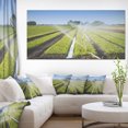 thumbnail image 1 of Belle Vue des Cultures Arrosage - Impression sur Toile Paysage, 1 of 4