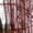 Burgundy-52"W x 45"L (Pack of 2), variant on Burgundy Lace Curta45 Inch Length Vintflsheer For Kitchen Cafe Rod Pocket Light Filtering Wine Window 2 Panels Set Closet Basement Modern Maroon Decor 52x45