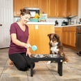 thumbnail image 2 of Pet Zone Designer Diner Adjustable Elevated Dog Bowls Raised Dog Bowl Station with Stand, Adjusts to 3 Heights comes with 2 SS Bowls (7-Cup Capacity), 2 of 13