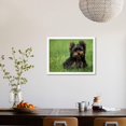 thumbnail image 3 of Yorkshire Terrier Puppy Sitting in Grass, Animals Framed Art Print Wall Art by Adriano Bacchella Sold by Art.Com, 3 of 5