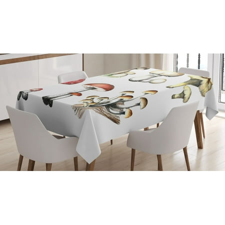 

Mushroom Tablecloth Hand Drawn Fungus Pattern Amanita Muscaria Boletus Champignon Retro Illustration Rectangular Table Cover for Dining Room Kitchen 52 X 70 Inches Multicolor by Ambesonne