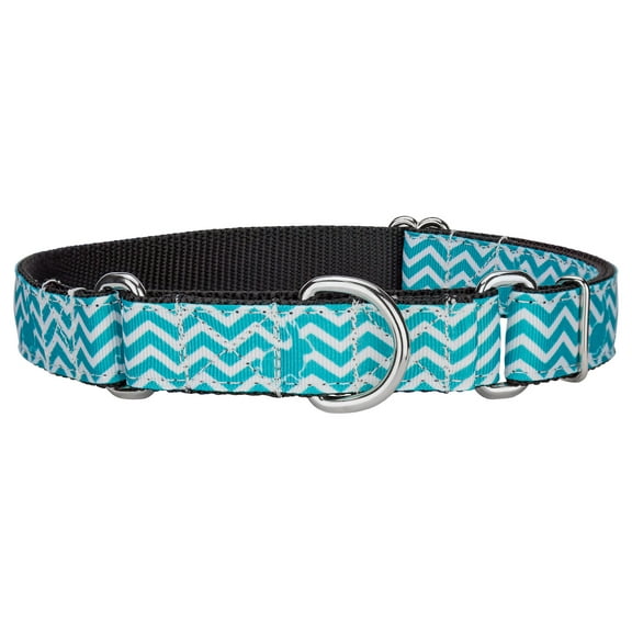 Country Brook Petz® Hop Along Ribbon Martingale Dog Collar Limited Edition, Extra Large