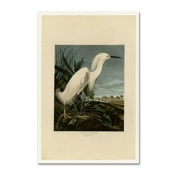 Trademark Fine Art 'Snowy Heron' Canvas Art by John James Audobon